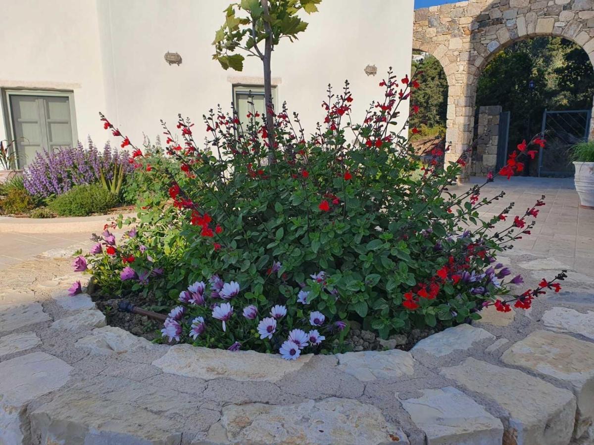 Anamnezia Luxury Suites (Adults Only) Agios Dimitrios  Exteriér fotografie